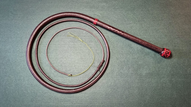 Bullwhip target