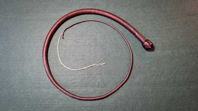 Signalwhip