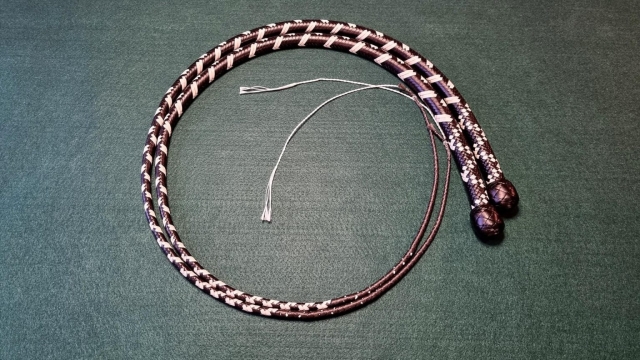 Signalwhip