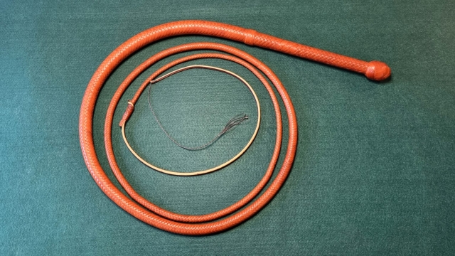 Bullwhip western
