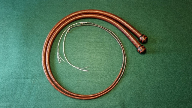 Signalwhips